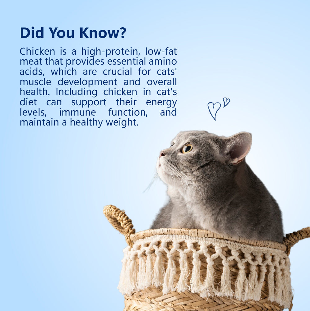 Pixie Cat Treats: Fish Omega 6 for Healthy and Shiny Skin & Coat