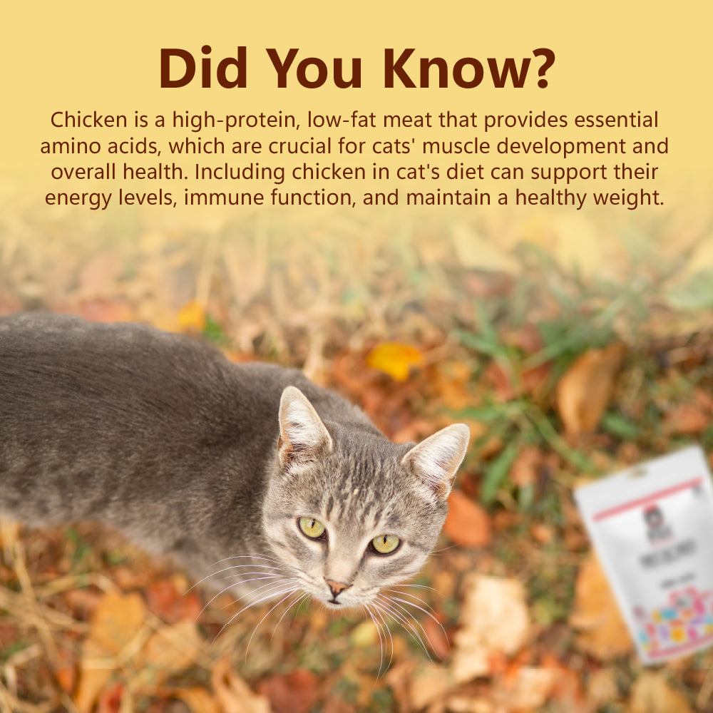 Pixie Cat Treats: Chicken Improves Muscle Mass