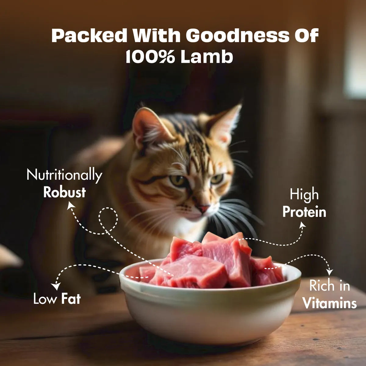 Nature's Feast  Freeze Dried Cat Treats 100% Natural Lamb Treat