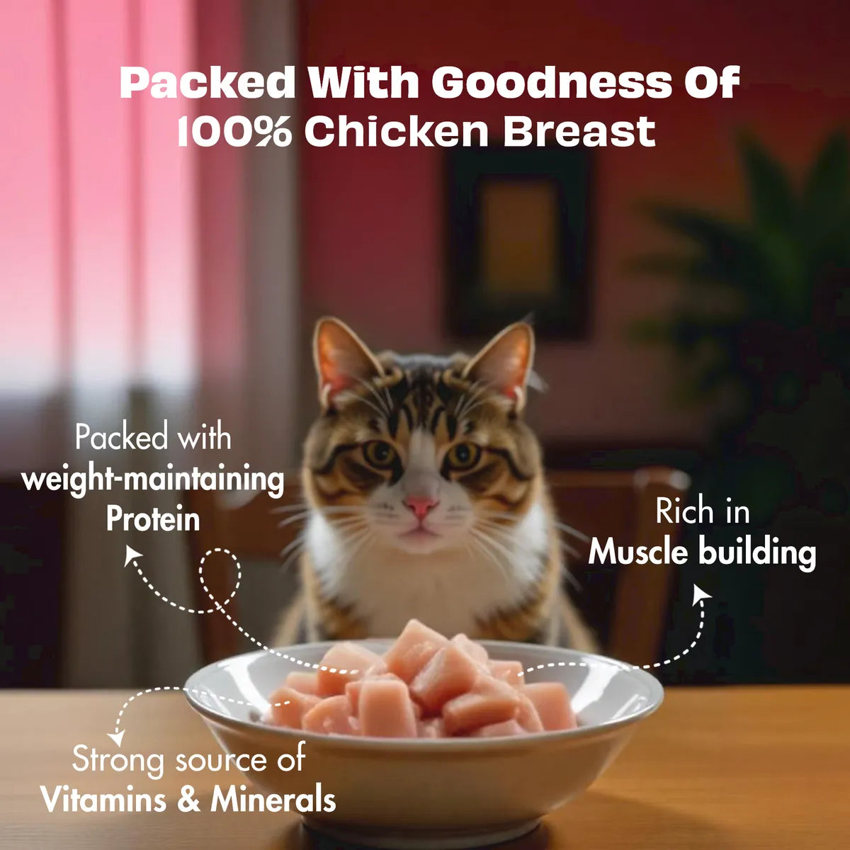 Nature's Feast Freeze Dried Cat Treats 100% Natural Chicken Breast Treat